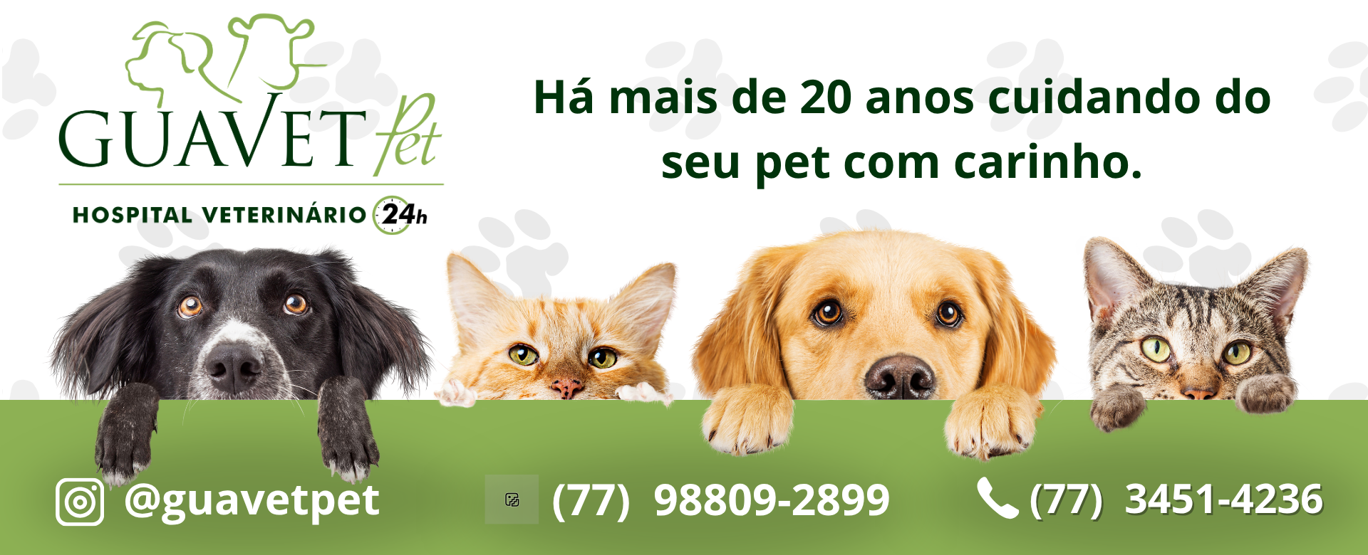 banner promocao pet shop divertido amarelo